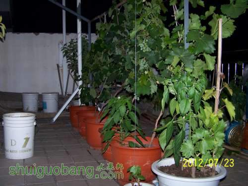 100_4695.JPG