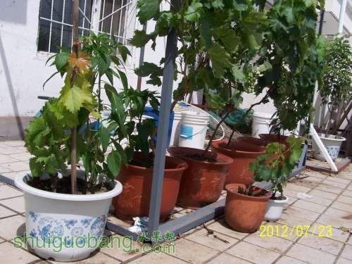 100_4696.JPG