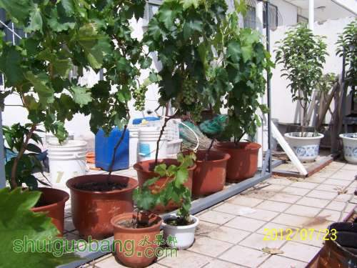 100_4697.JPG