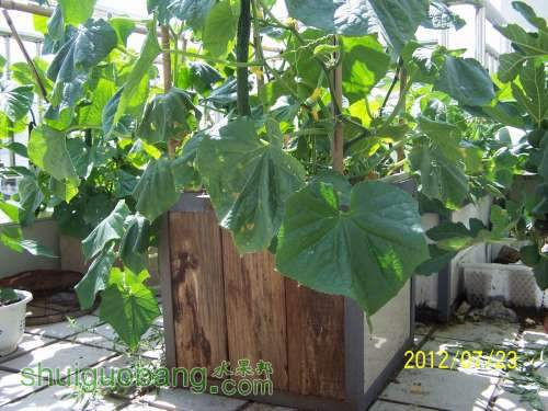 100_4698.JPG