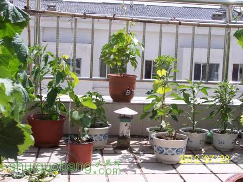 100_4700.JPG