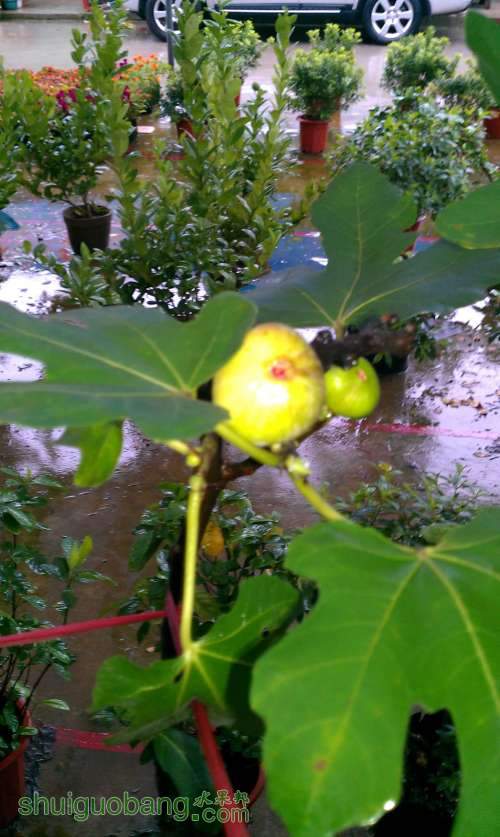 IMAG0228.jpg
