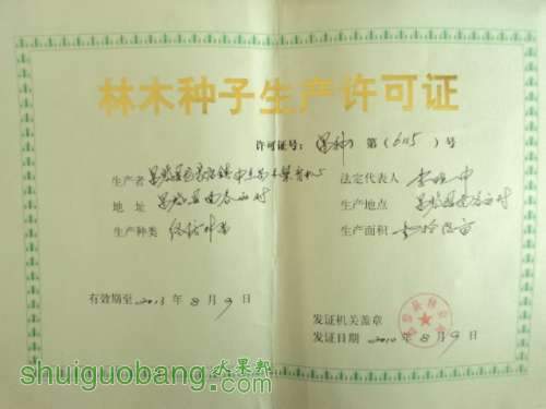 DSC01642_conew1.jpg