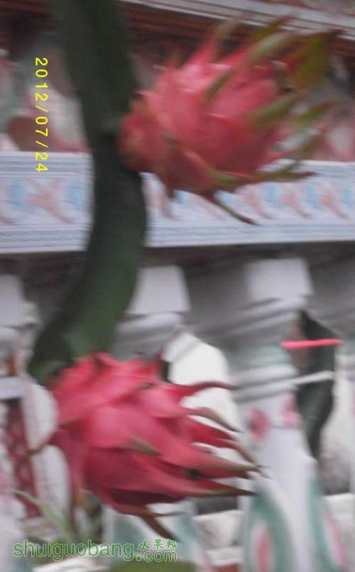 ALIM1065.JPG