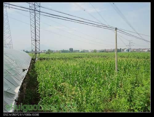 nEO_IMG_DSC00819.jpg