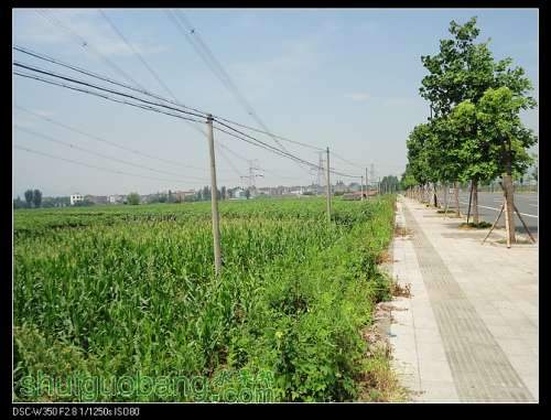 nEO_IMG_DSC00820.jpg