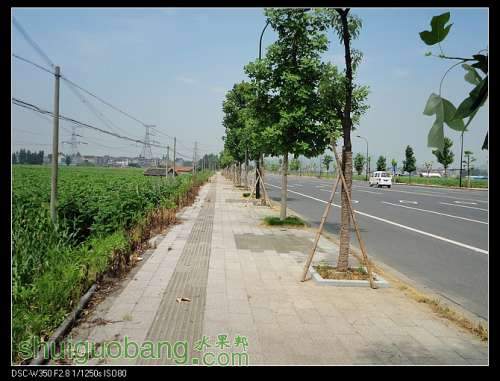 nEO_IMG_DSC00821.jpg