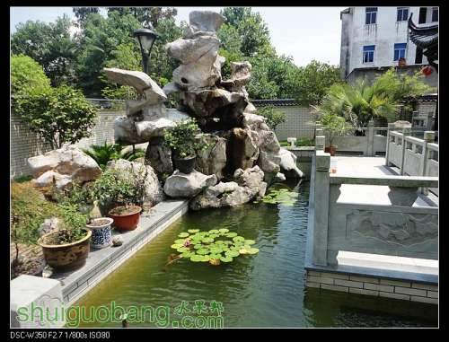 nEO_IMG_DSC00839.jpg