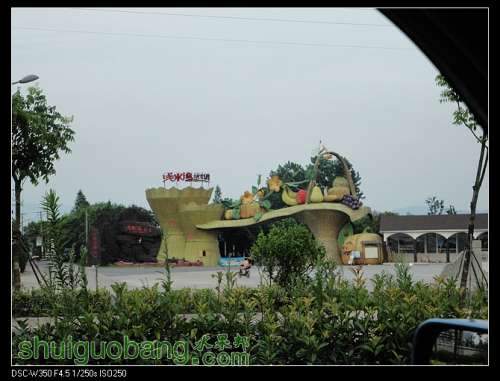 nEO_IMG_DSC00910.jpg