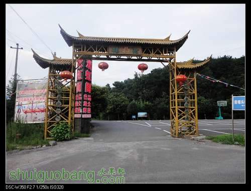 nEO_IMG_DSC00914.jpg
