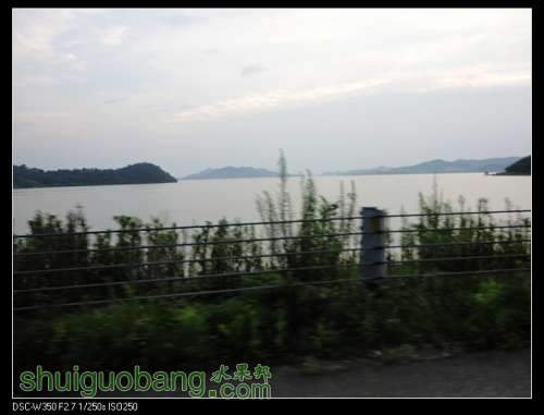 nEO_IMG_DSC00915.jpg