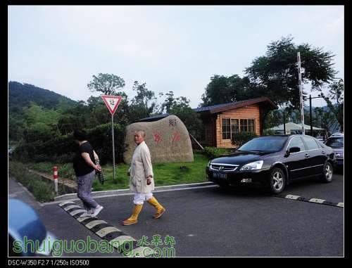 nEO_IMG_DSC00917.jpg