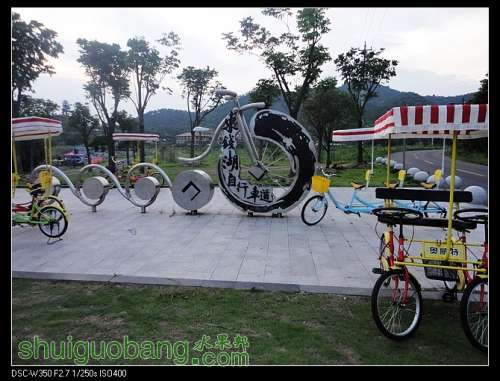 nEO_IMG_DSC00920.jpg