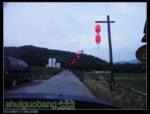 nEO_IMG_DSC00924.jpg