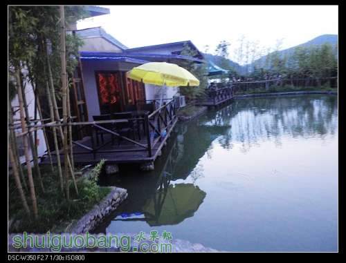 nEO_IMG_DSC00932.jpg