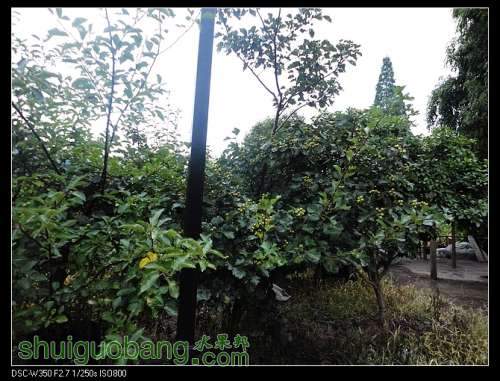 nEO_IMG_DSC00942.jpg