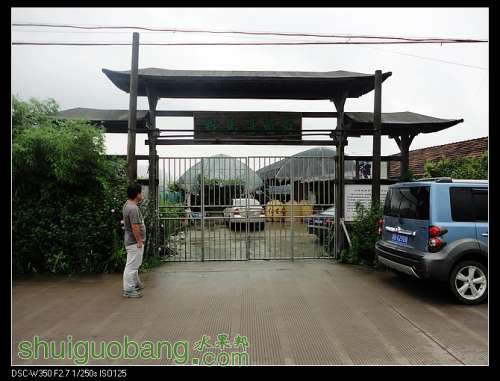 nEO_IMG_DSC00949.jpg