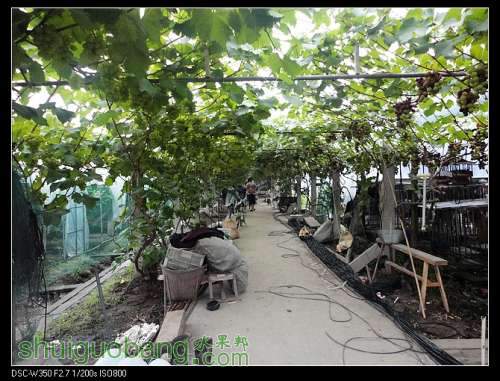 nEO_IMG_DSC00959.jpg
