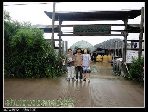 nEO_IMG_DSC00994.jpg