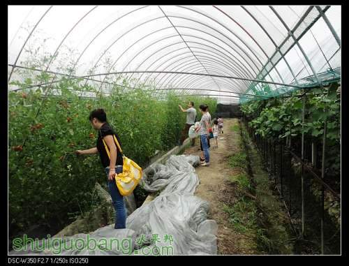 nEO_IMG_DSC00983.jpg
