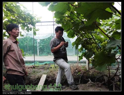 nEO_IMG_DSC00972.jpg