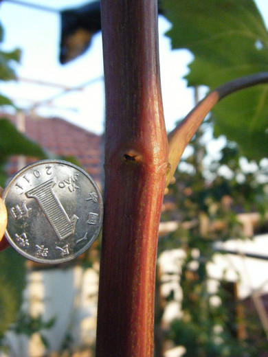 7.20 044.jpg
