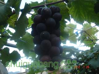 DSC01434.JPG