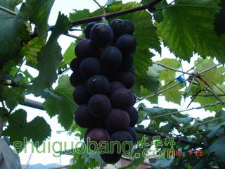 DSC01435.JPG