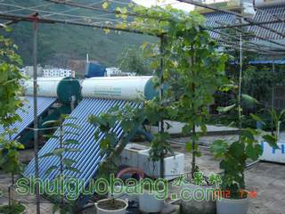 DSC01438.JPG