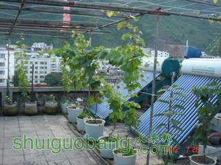 DSC01439.JPG