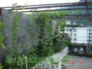 DSC01440.JPG