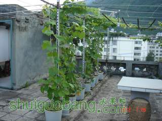 DSC01442.JPG