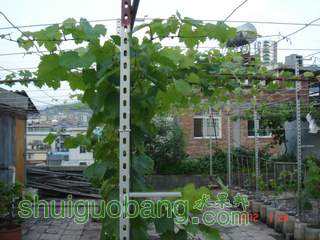 DSC01443.JPG