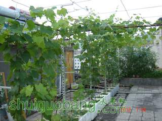 DSC01444.JPG