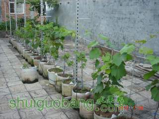 DSC01445.JPG