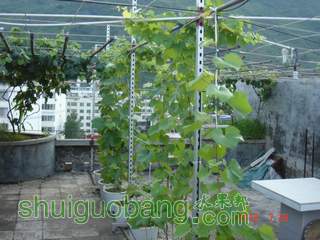 DSC01446.JPG