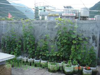 DSC01447.JPG