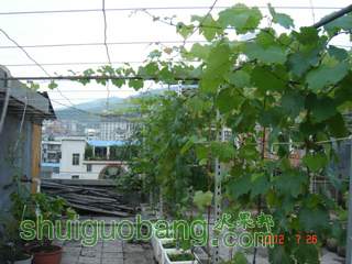 DSC01448.JPG