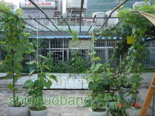 DSC01449.JPG