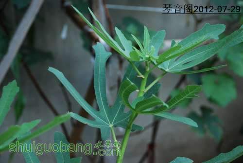 nEO_IMG_DSC_0013.jpg
