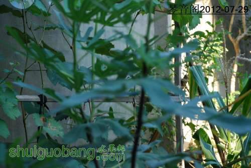 nEO_IMG_DSC_0011.jpg