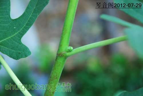 nEO_IMG_DSC_0012.jpg