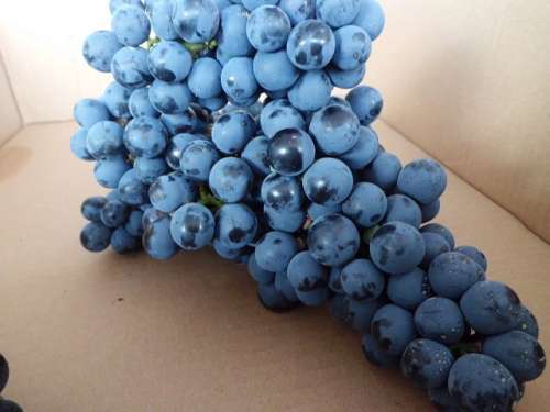 CIMG0106_��Ŀѹ��.JPG