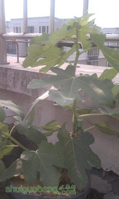 IMAG0338.jpg