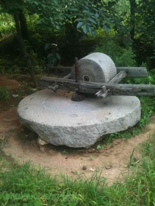 ��Ƭ 036.jpg