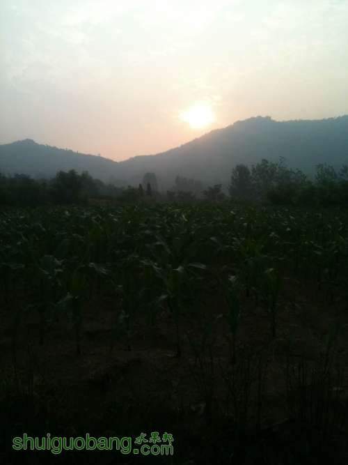 ��Ƭ 041.jpg