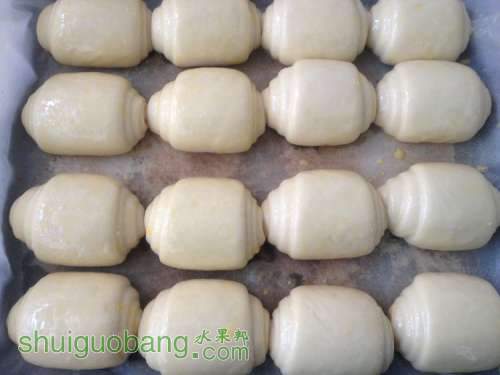 nEO_IMG_IMG_0382.jpg