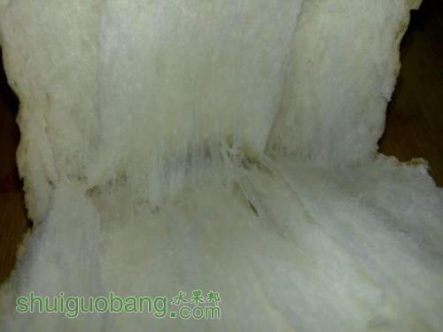 nEO_IMG_20101221575.jpg