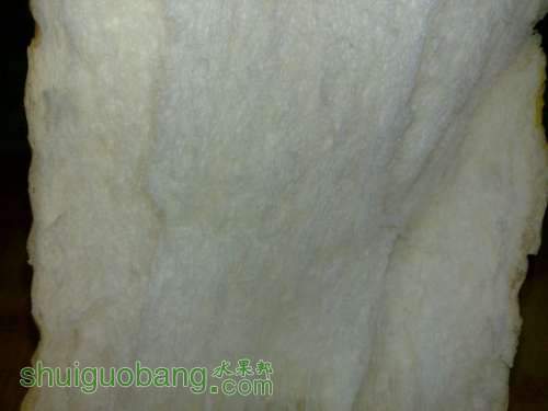 nEO_IMG_20101221576.jpg