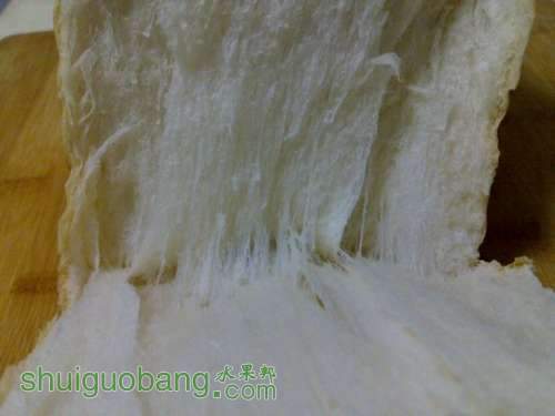 nEO_IMG_20101221578.jpg